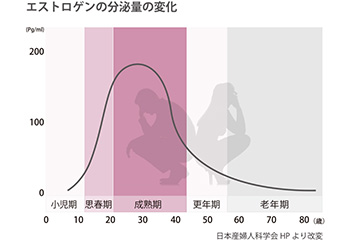 グラフ「エストロゲンの分泌量の変化」